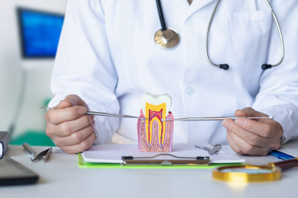 Best Pediatric Emergency Dentist in Oronogo, MO
